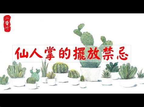 仙人掌陽台風水|後陽台仙人掌擺放技巧